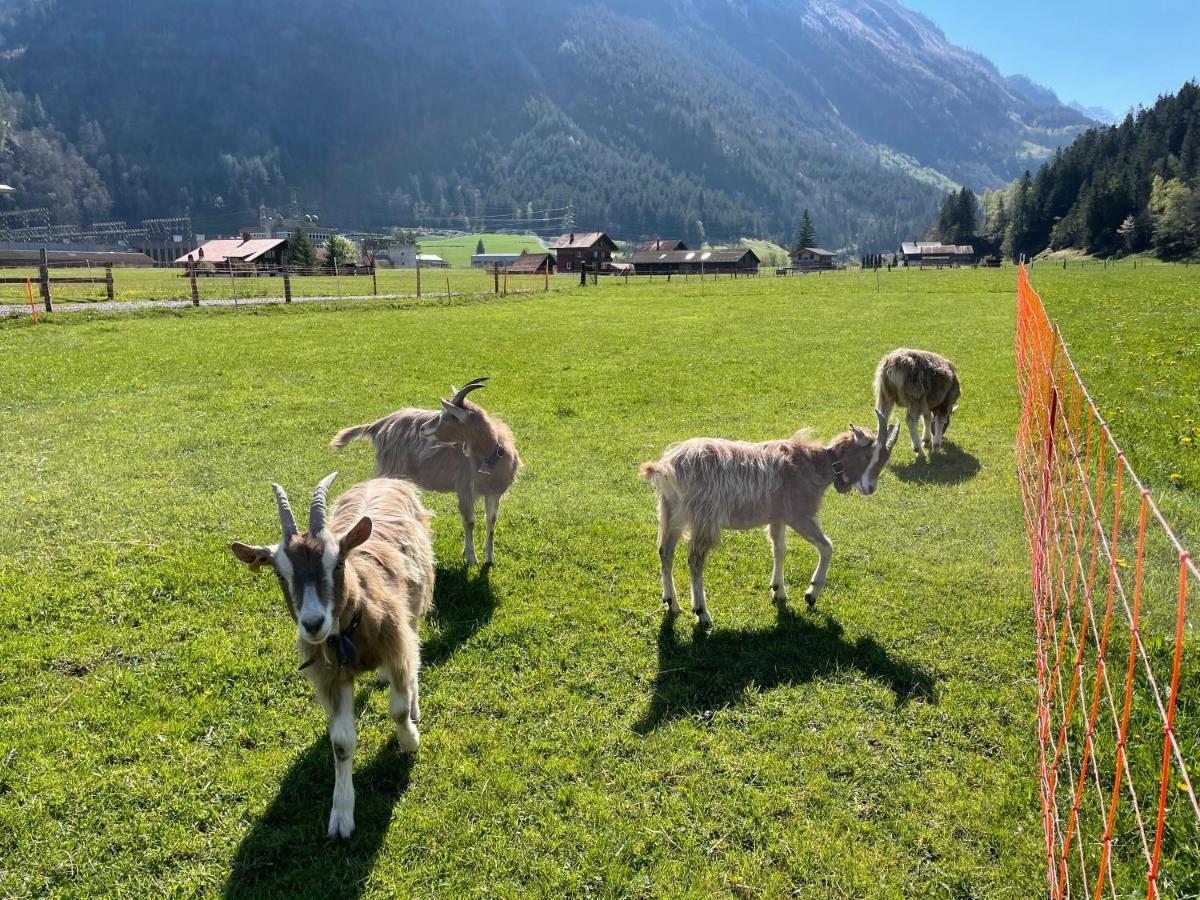 Schlafen Im Fass - Schlaffass - Abenteuer - Romantik - Haslifass Innertkirchen Exteriér fotografie