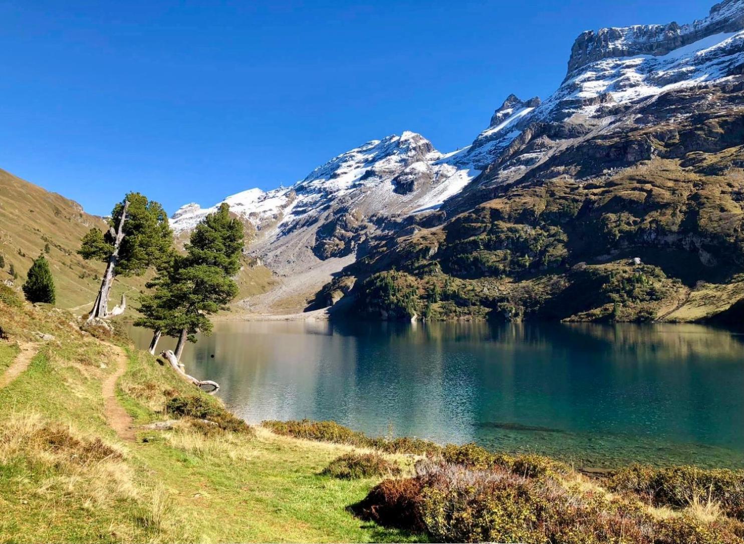 Schlafen Im Fass - Schlaffass - Abenteuer - Romantik - Haslifass Innertkirchen Exteriér fotografie